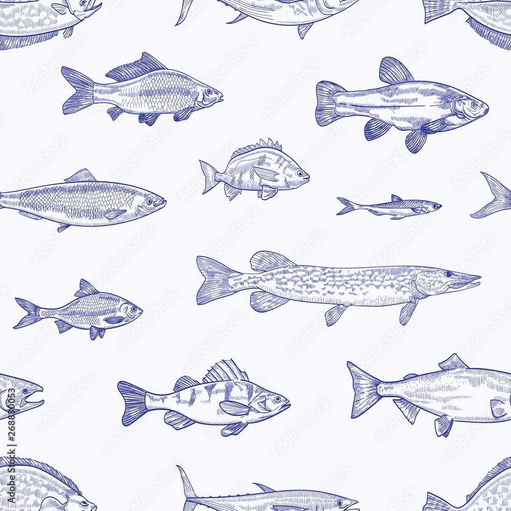 Monochrome seamless pattern with various types of fish hand drawn with  contour lines on light background. Backdrop with sea or ocean animals,  aquatic creatures. Elegant realistic vector illustration. Stock Vector |  Adobe