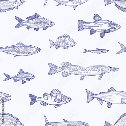 Monochrome seamless pattern with various types of fish hand drawn with contour lines on light background. Backdrop with sea or ocean animals, aquatic creatures. Elegant realistic vector illustration.