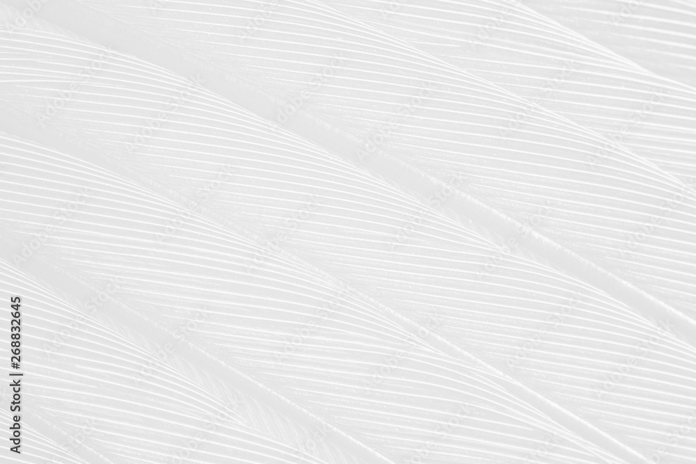 Beautiful white feather pattern texture background