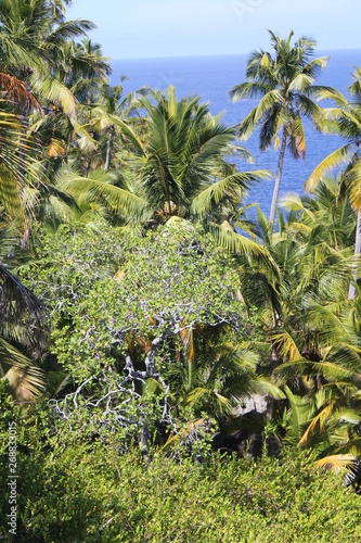 private island beach north island seychelles