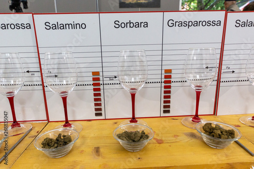 tasting of Lambrusco wines from Modena Italy photo