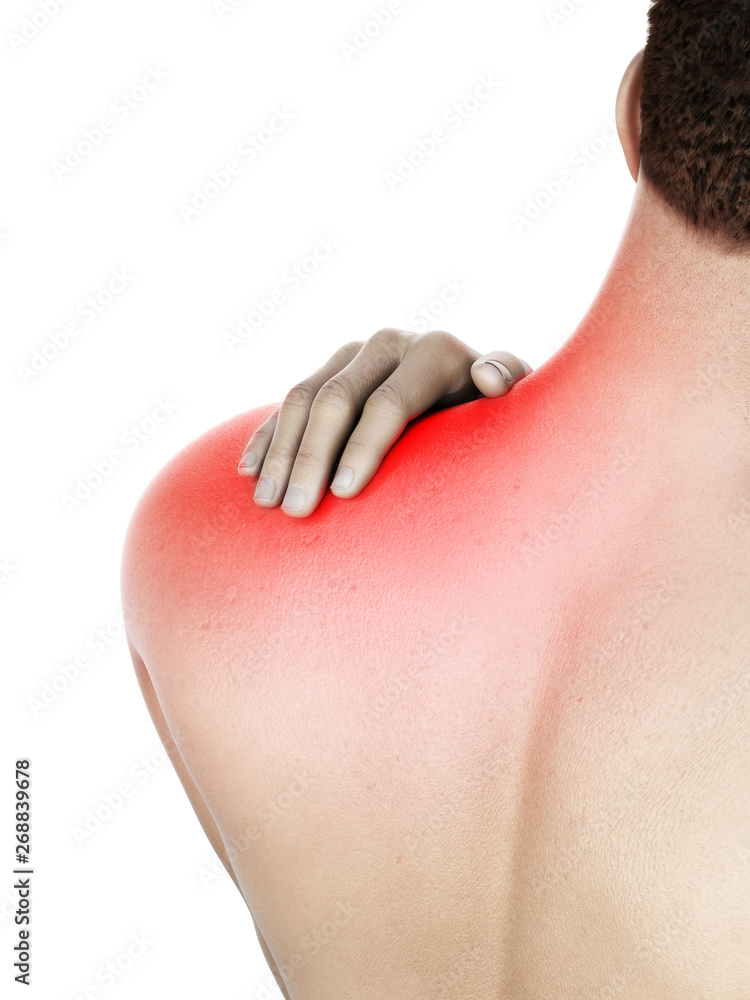 3d rendered medically accurate illustration of 3d rendered medically accurate illustration of