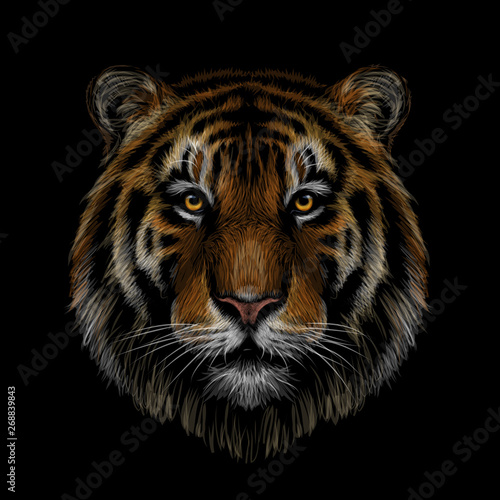 Color, graphic, hand-drawn portrait of a tiger looking ahead on a black background.