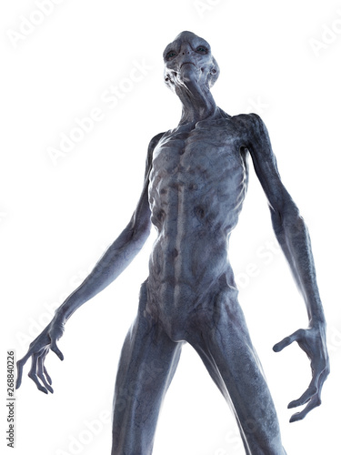 3d rendered illustration of an alien isolated on white