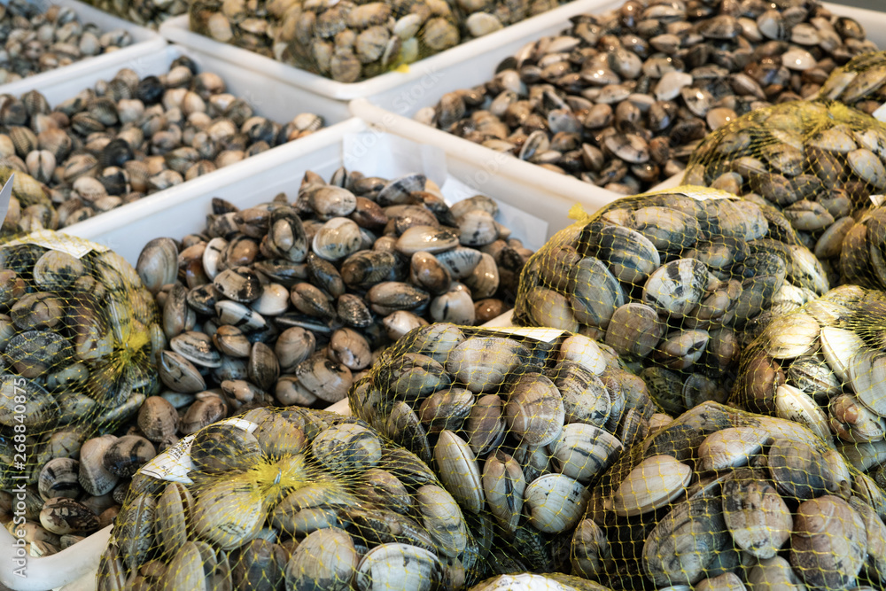 Fresh clams on crates for sale Fresh clams on crates for sale