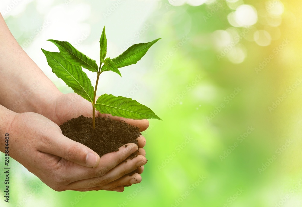 Earth eco living planet plant agriculture background Earth eco living planet plant agriculture background