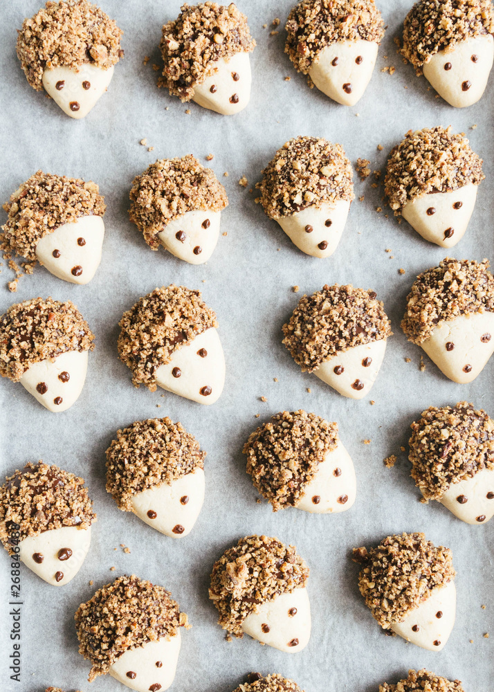 Fresh pecan and dark chocolate covered hedgehog cookies on baking sheet Fresh pecan and dark chocolate covered hedgehog cookies on baking sheet