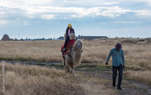little girl riding a camel © serikbaib