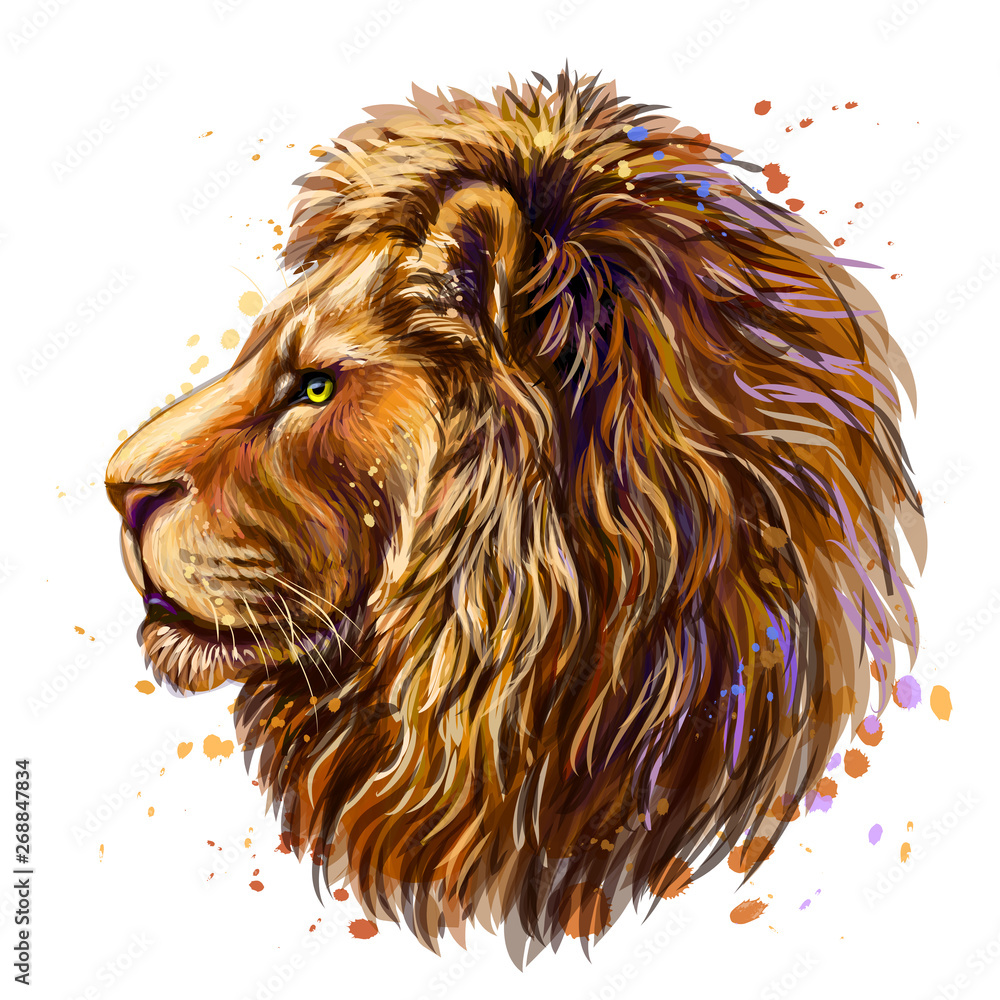 Artistic, color profile portrait of a lion's head on a white background  with watercolor splashes. Stock Vector | Adobe Stock