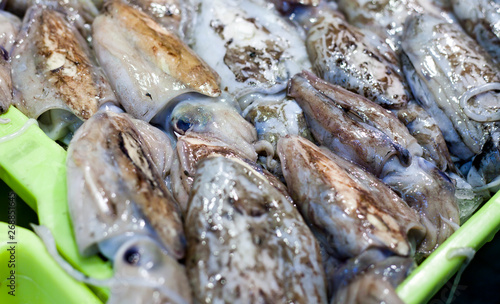 Fresh fish market with calamari and cuttlefish .