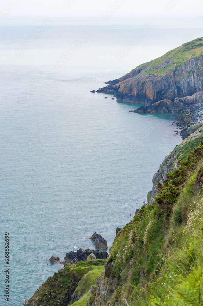 Cliffs and hillside in Wicklow, Ireland. Irish sea on left. Vertical shot with mist in background.