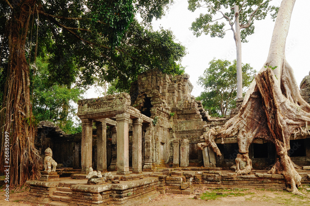 Roots of a banyan tree cover ancient Ta Prohm. Angkor. Cambodia. Roots of a banyan tree cover ancient Ta Prohm. Angkor. Cambodia.