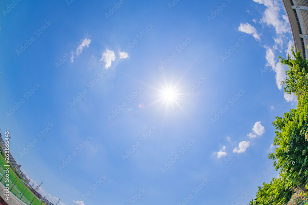 新横浜公園の初夏の青空 新横浜公園の初夏の青空