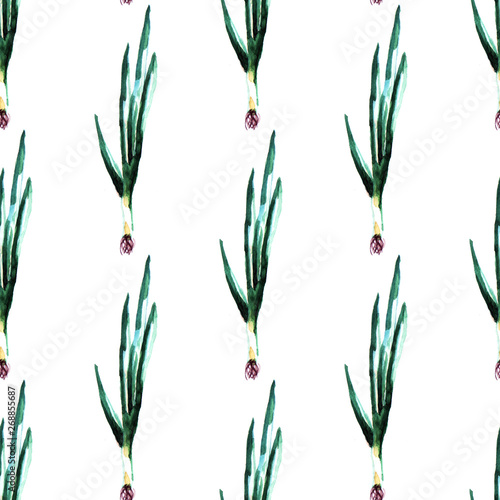 Watercolor onion pattern