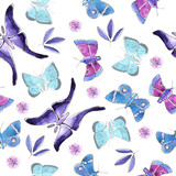 butterflies  pattern