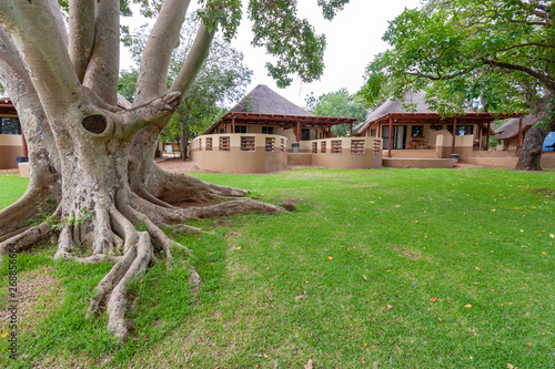lower sabie camp national parks and nature reserves of south africa