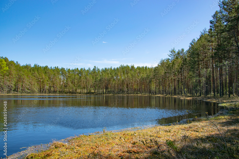 Spring, nature, spring forest, fields, lakes and rivers.