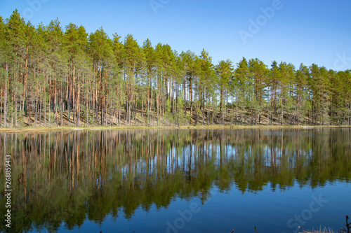 Spring, nature, spring forest, fields, lakes and rivers.