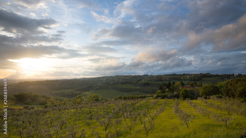 Sunset in the landscape of Tuscany: hills, farmhouses, olive trees, cypresses, vineyards. The hills of Chianti south of Florence
