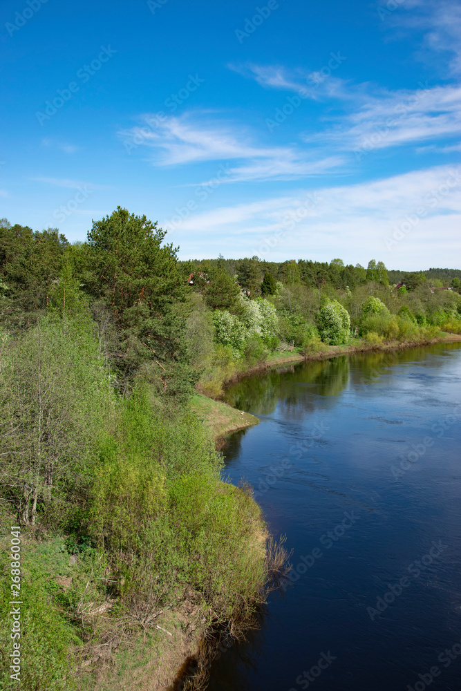 Spring, nature, spring forest, fields, lakes and rivers.