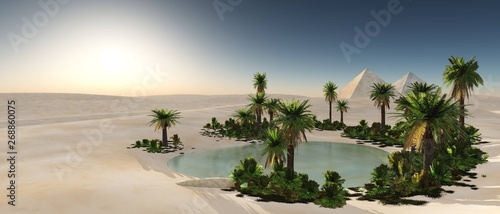 Oasis in the desert of sand  palm trees and a pond in the sands 