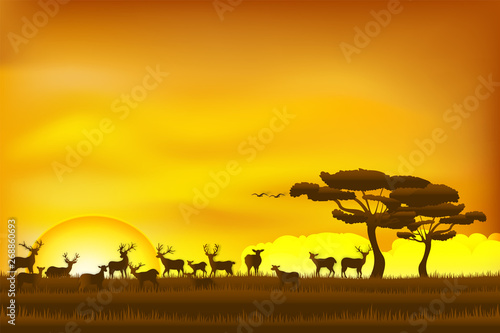 Paper art and digital craft style of world elephant Day , elephant in the grass sunrise , Vector illustration.