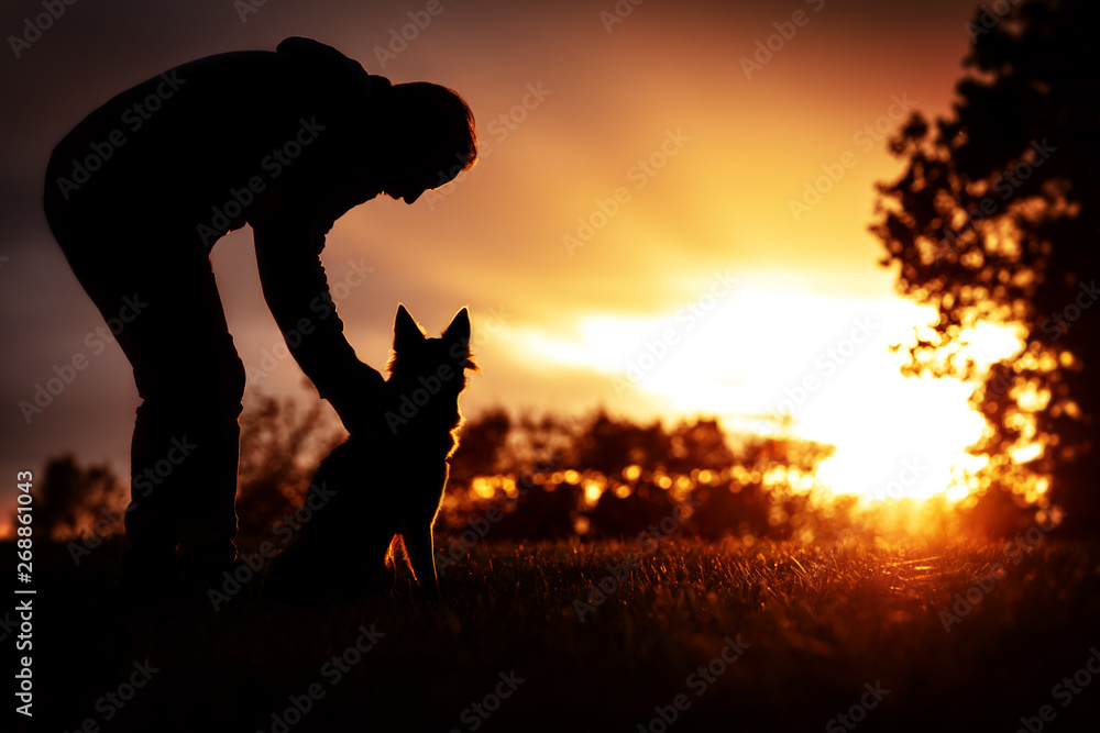 Mann und Hund bei Sonnenuntergang, Silhouette im Gegenlicht Stock Photo |  Adobe Stock