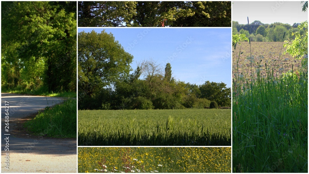 Fototapeta premium composition de paysages de campagne au printemps