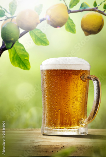 Fresh cold beer on wooden table. Branch of fresh lemons fruits and summer garden background 