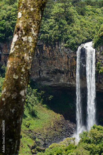  Defocused trunk with Caracol waterfall at Canela city, Rio Grande do Sul, Brazil 