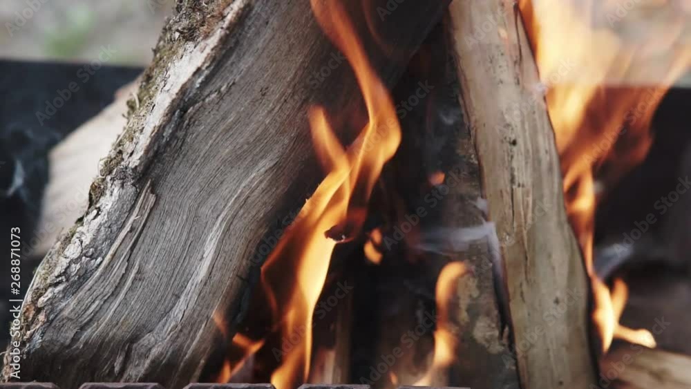 Firewood for burning coal in the grill, close-up. Wood logs are burning in the grill, fire envelops the tree in the grill, flame, fire Firewood for burning coal in the grill, close-up. Wood logs are burning in the grill, fire envelops the tree in the grill, flame, fire
