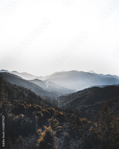 Misty mornings.