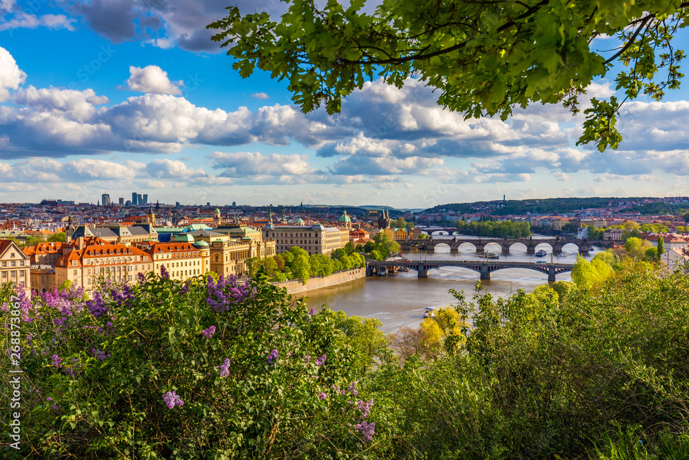 Old town of Prague. Czech Republic over river Vltava with Charles Bridge on skyline. Prague panorama landscape view with red roofs.  Prague view from Letna Park, Prague, Czechia.