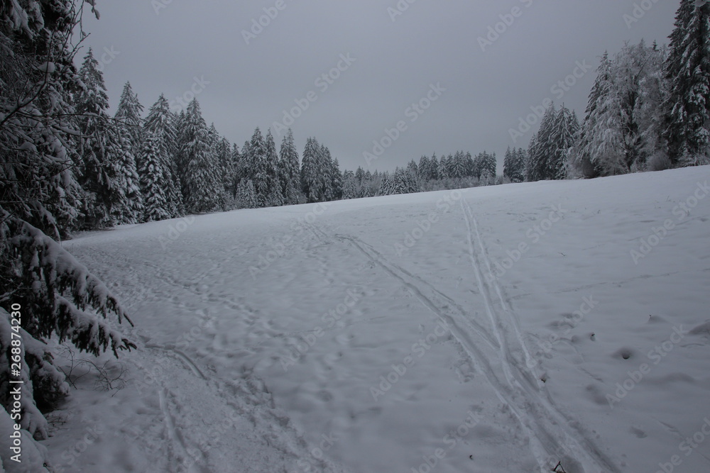Obraz premium Winterlandschaft