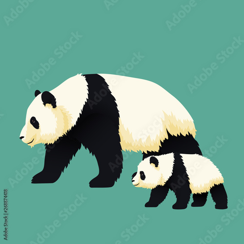 Adult Giant Panda And Baby Panda Walking Together Chinese Bear Family Mother Or Father And Child Rare Vulnerable Species Stock Vector Adobe Stock Adult Giant Panda And Baby Panda Walking Together Chinese Bear Family Mother Or Father And Child Rare Vulnerable Species Stock Vector Adobe Stock