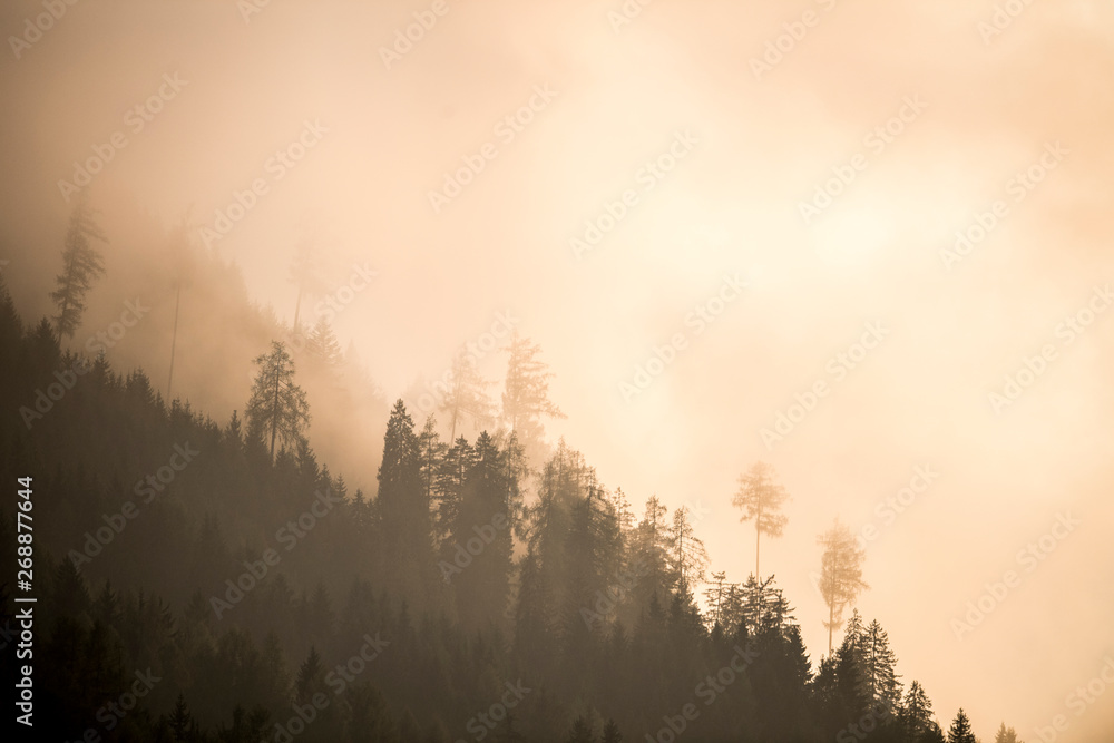 Landscape Landscape