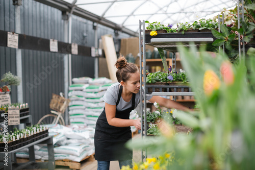 Teenage girl working at local market nursery