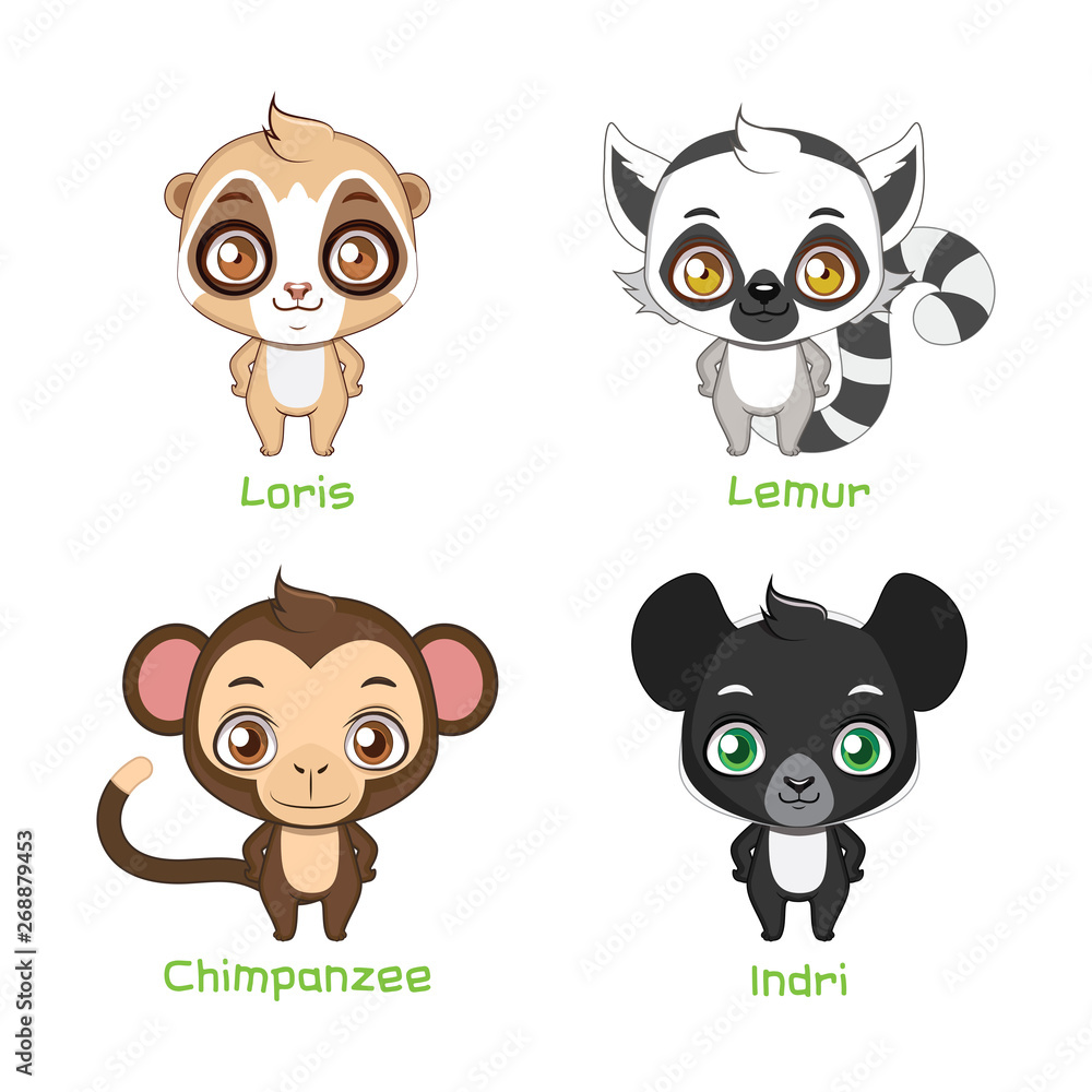 Set of primate illustrations