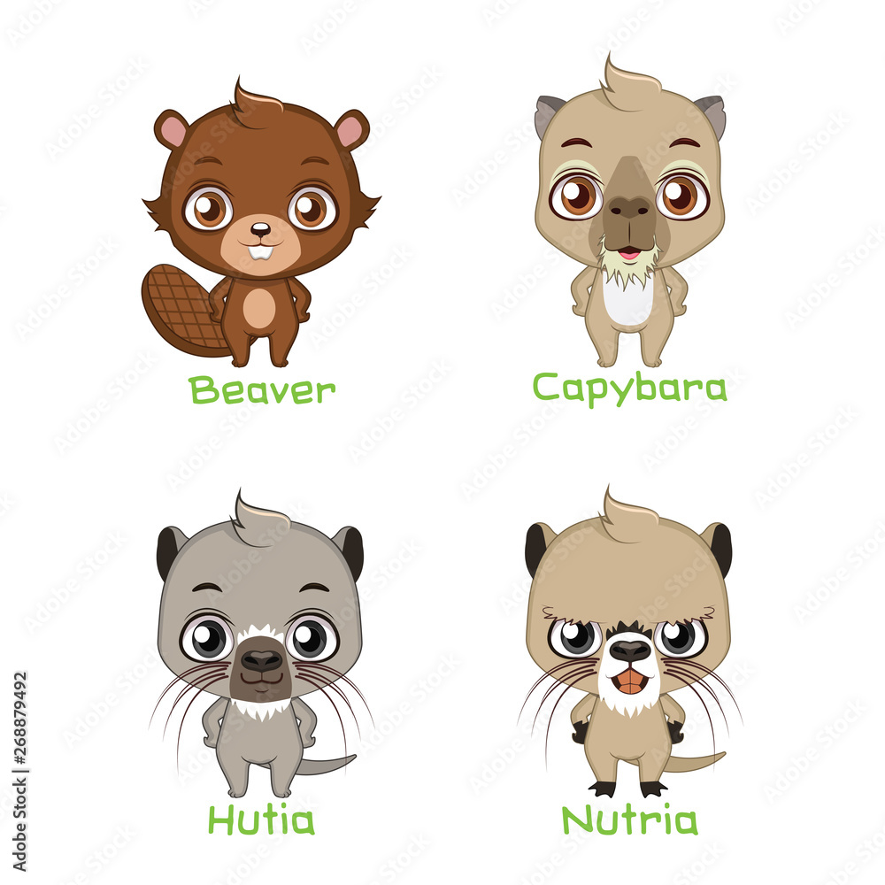 Set of big rodent species Set of big rodent species