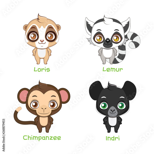 Set of primate illustrations