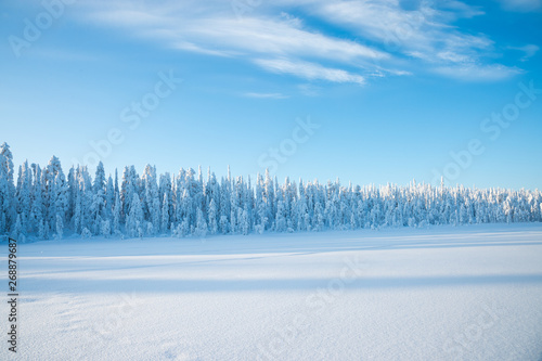 Snowy landscape in Lapland
