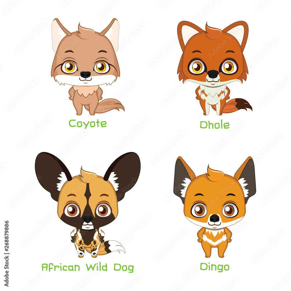 Set of wild canine species