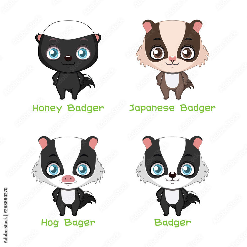 Set of badger species