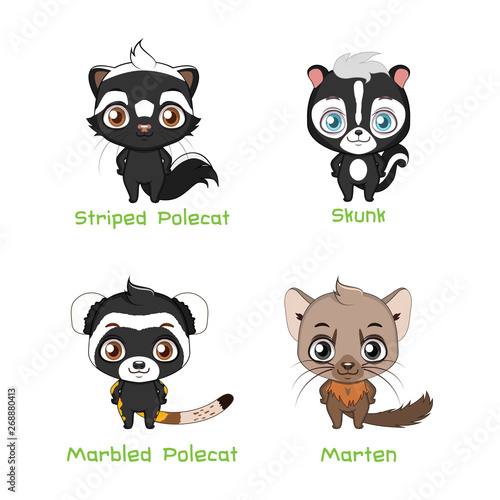 Set of poelcat and badger species
