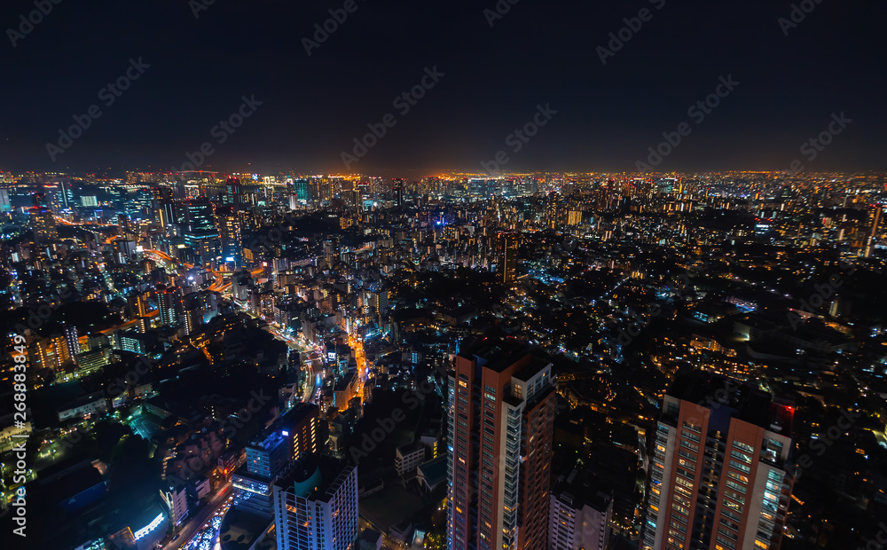 Aerial view of Tokyo, Japan from Roppongi Hills at night
