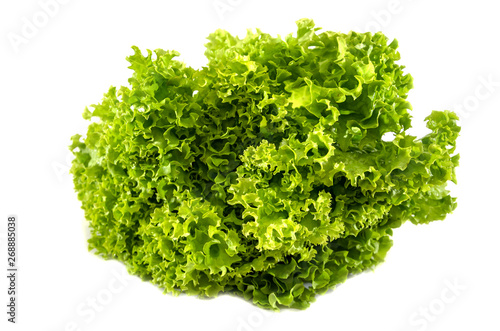bunch of green lettuce on a white background. Salad leaves. Close-up.