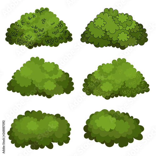 Set of green bushes vector
