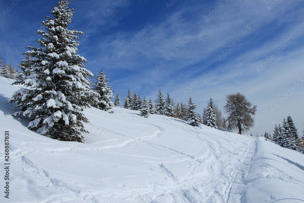 Obraz premium Schneeschuhwandern