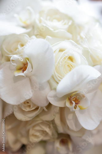 white orchids and roses