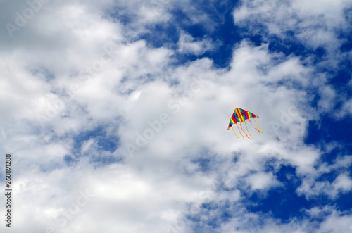 Freedom kite in the blue sky